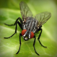 /album/x-xjoainoax-x/photolia-a01-jpg/