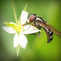 /album/x-xjoainoax-x/photolia-a02-jpg/