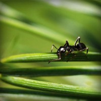 /album/x-xjoainoax-x/photolia-a05-jpg/