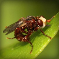 /album/x-xjoainoax-x/photolia-a06-jpg/