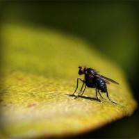 /album/x-xjoainoax-x/photolia-a07-jpg/